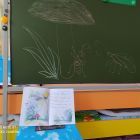 IMG_20210316_094405.jpg
